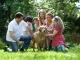 families dog