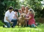 families dog