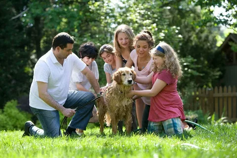 families dog