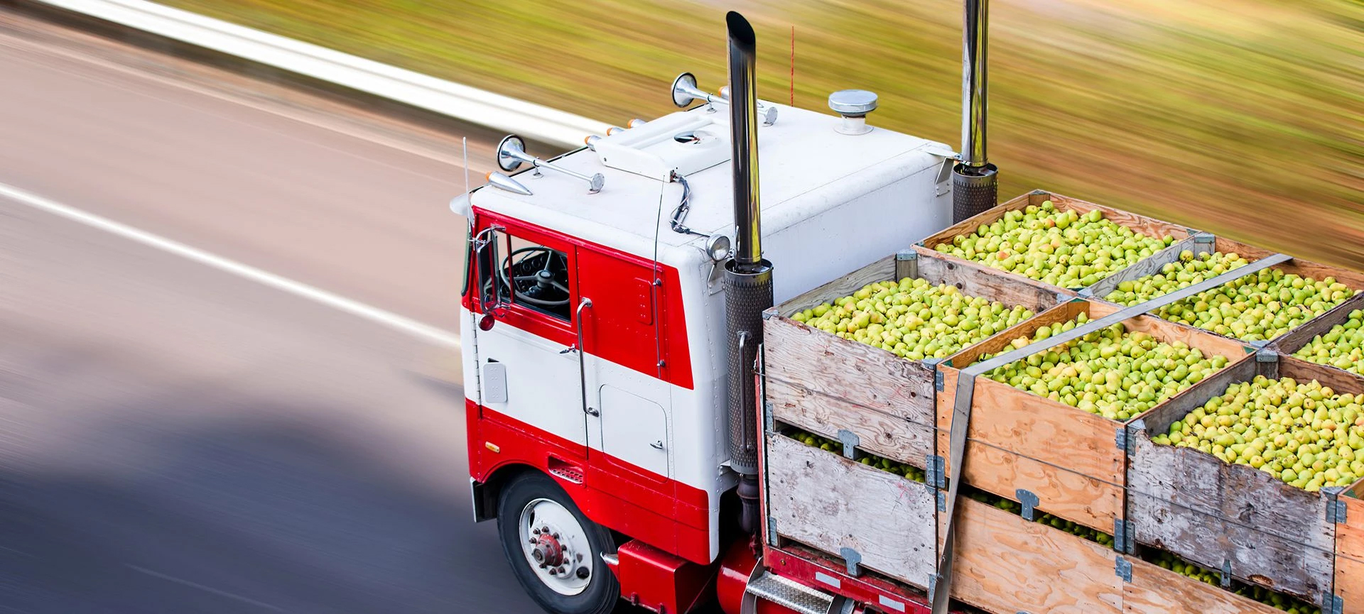 transporting-food