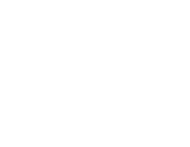 RoadLinx Shipping Company